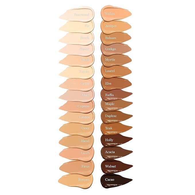 Ogee Complexion Perfecting Under Eye Concealer - Certified Organic Full Coverage Concealer - Buildable Coverage - HOLLY 12.75W - Deep (Warm Undertones)
