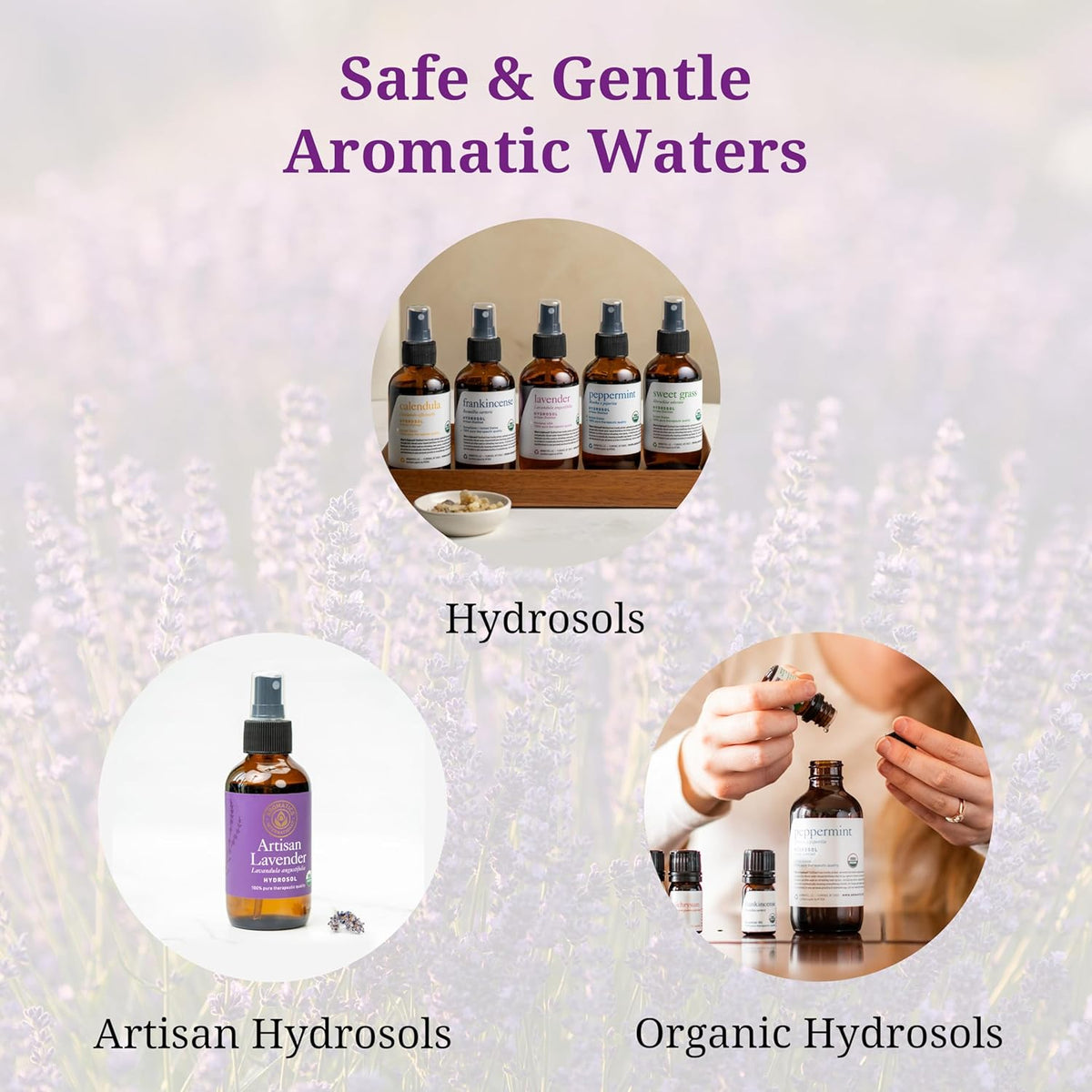 Aromatics International Helichrysum Hydrosol 100ml | Aromatic Mist for Space Refreshing