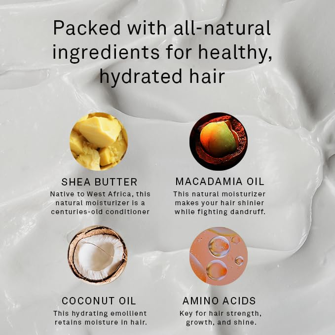 Hawthorne Frizz Fighter Shampoo for Curly Hair with Shea Butter, Macadamia, and Coconut Oil. Hydrate Hair and Tame Frizz. Sulfate Free, Paraben Free. 8 Fl. Oz. 2-Pack.