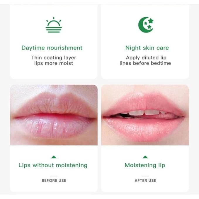 Avocado Lip Balm Vitamin E Conditioning Lip Stick Moisturizing Lips Reduce Fine Lines Relieve Dryness Long-Lasting Protection Nourishing Lip Care
