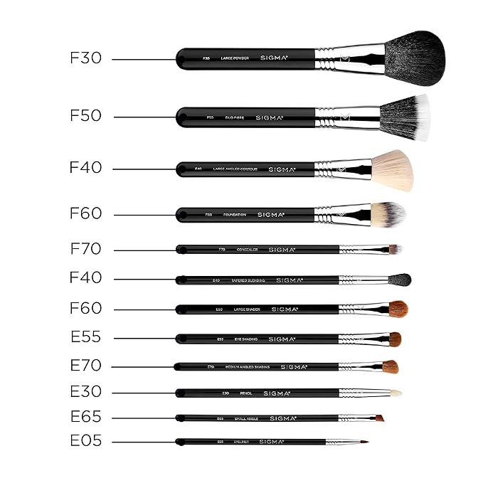 Sigma Beauty Essential Makeup Brushes Set – Professional Grade Makeup Brush Set with Premium Fibers and Sleek, Durable Handles for Face & Eyes, Includes 12 CK001 Black Makeup Brushes