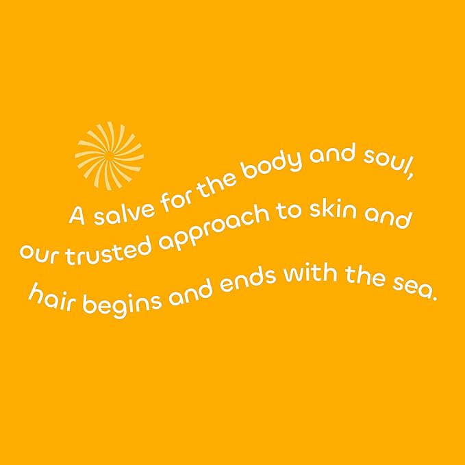 Seaweed Bath Co. Hydrate Body Cream, Citrus Vanilla Scent, 6 Ounce, Nourishing Hand & Body Lotion Moisturizer for Dry Skin, with Sustainably Harvested Seaweed, Kukui Oil, Hyaluronic Acid, Shea Butter