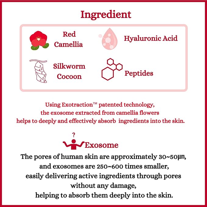 [DermaFi] Red Camellia Cell Activating Mist Facial Toner Spray (3.38 fl oz/100ml)